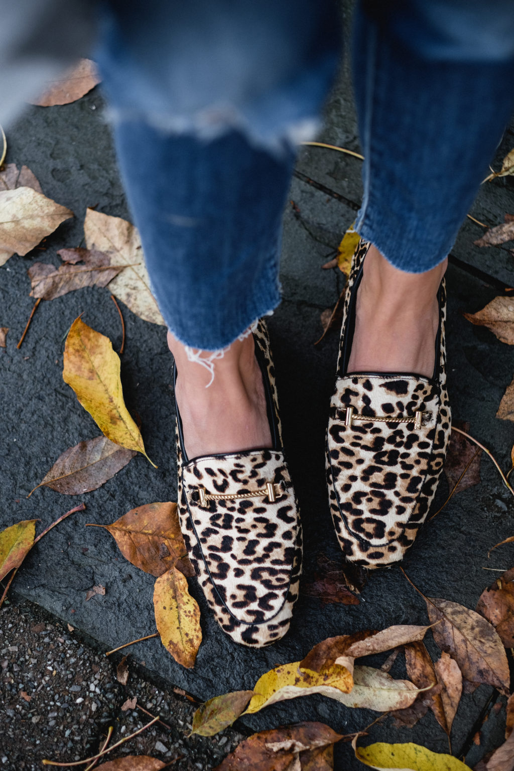 Corrupt geweld Chip Leopard Loafers and Boyfriend Jeans | The Teacher Diva: a Dallas Fashion  Blog featuring Beauty & Lifestyle
